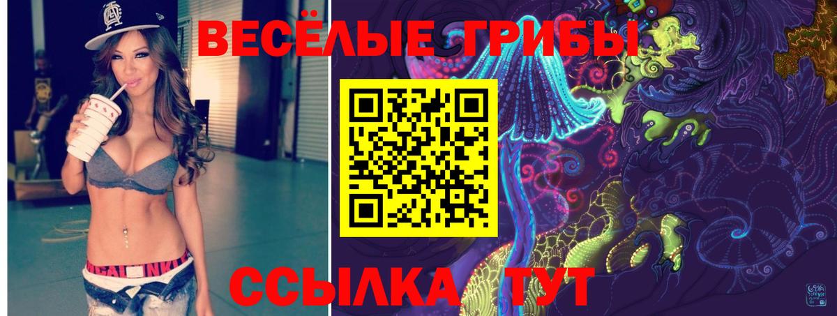 Галлюциногенные грибы Cubensis  Вход с VPN  Нурлат 